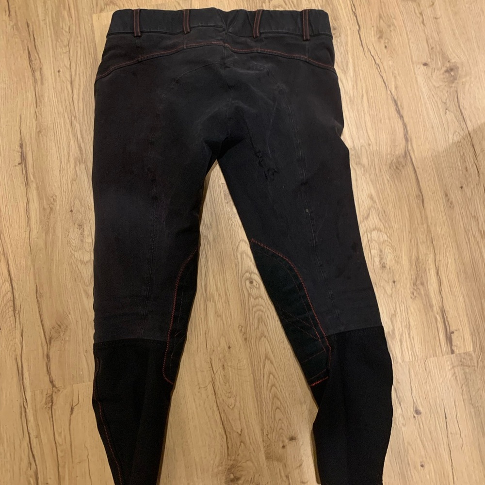 ariat breeches